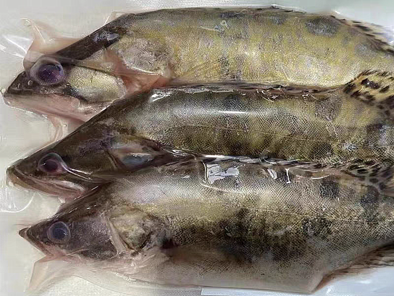 3条装桂鱼仔（450克）